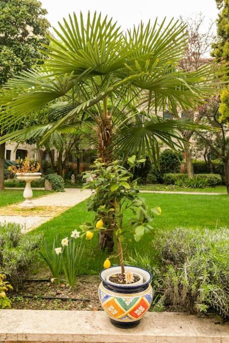 Cinqueteste Luxury Pensión Venecia
